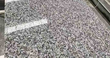 包头 芙蓉白光面