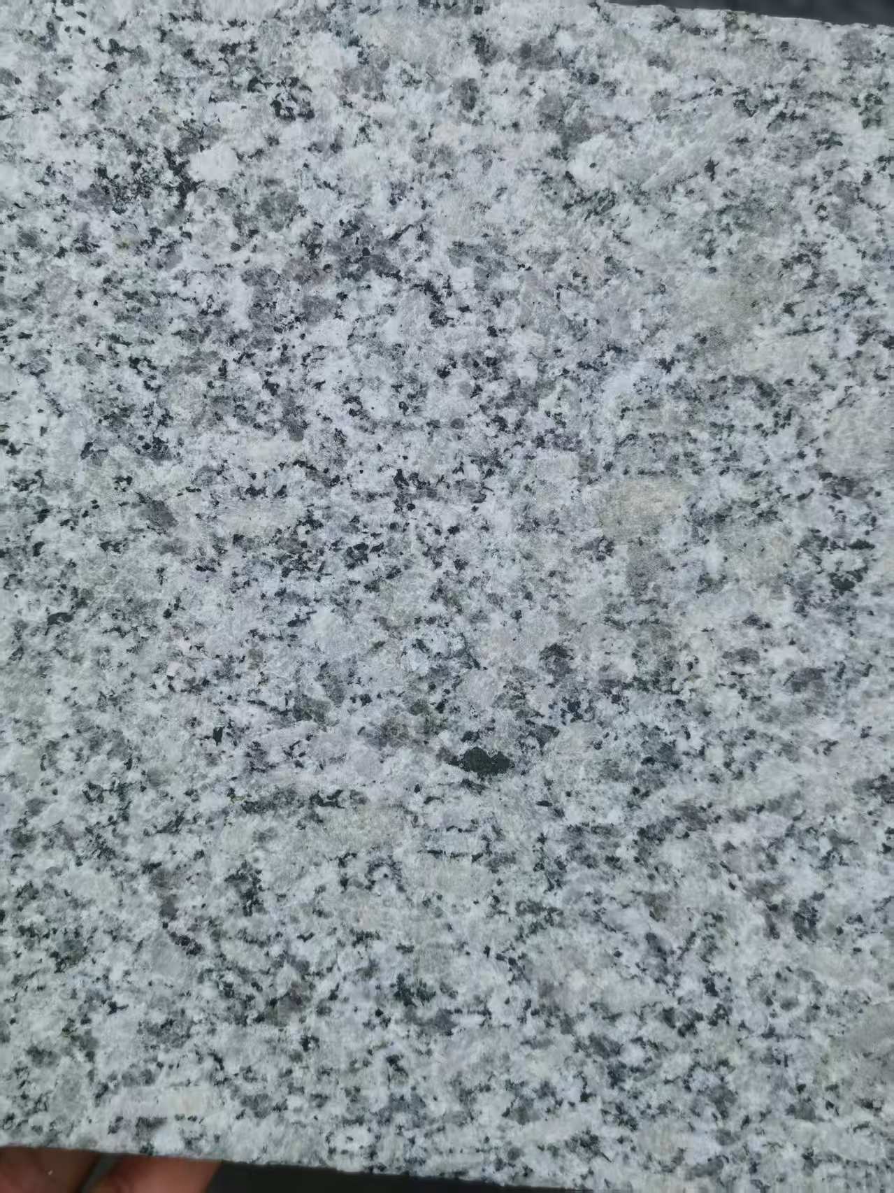 包头 芙蓉白火烧面