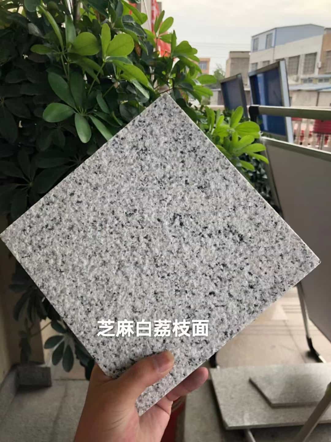 包头 芝麻白荔枝面干挂