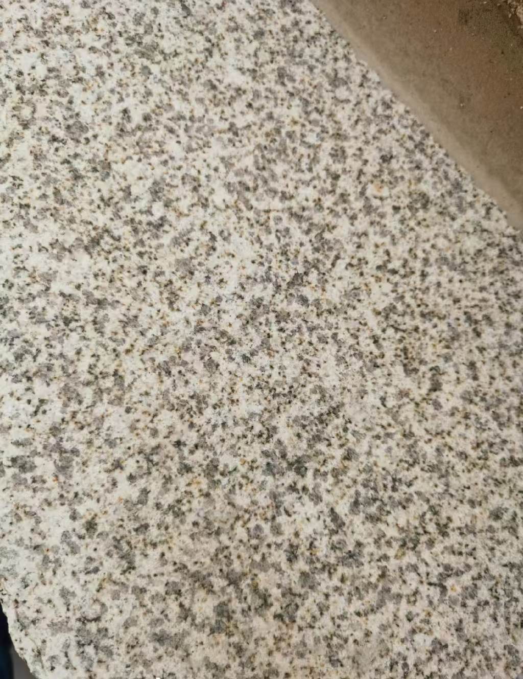 包头 黄金麻中黄光面